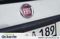 Fiat Panda 1.0 GSE HYBRID Tech-Paket Blanc - thumbnail 14
