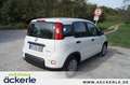 Fiat Panda 1.0 GSE HYBRID Tech-Paket Білий - thumbnail 6