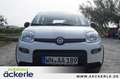 Fiat Panda 1.0 GSE HYBRID Tech-Paket Blanc - thumbnail 10