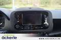 Fiat Panda 1.0 GSE HYBRID Tech-Paket Alb - thumbnail 18