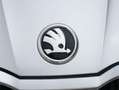 Skoda Fabia 1.0 TSI Selection DSG 85kW Plateado - thumbnail 27