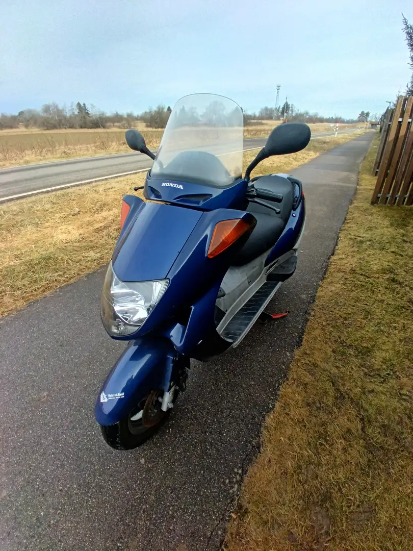 Honda Pantheon 125 Blau - 1