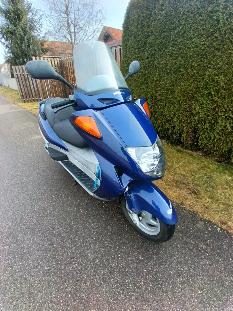 Honda Pantheon 125 Blau - 2