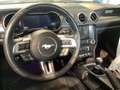 Ford Mustang Fastback 5.0 V8 GT  CERTIFICATA FORD EUROPEA Blanc - thumbnail 4