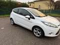 Ford Fiesta 1.4 tdci - NEOPATENTATI - 12 MESI DI GARANZIA - Bianco - thumbnail 2