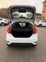 Ford Fiesta 1.4 tdci - NEOPATENTATI - 12 MESI DI GARANZIA - Bianco - thumbnail 5
