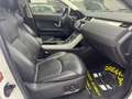 Land Rover Range Rover Evoque Range Rover Evoque I 2018 5p 2.0 td4 180cv Blanc - thumbnail 20