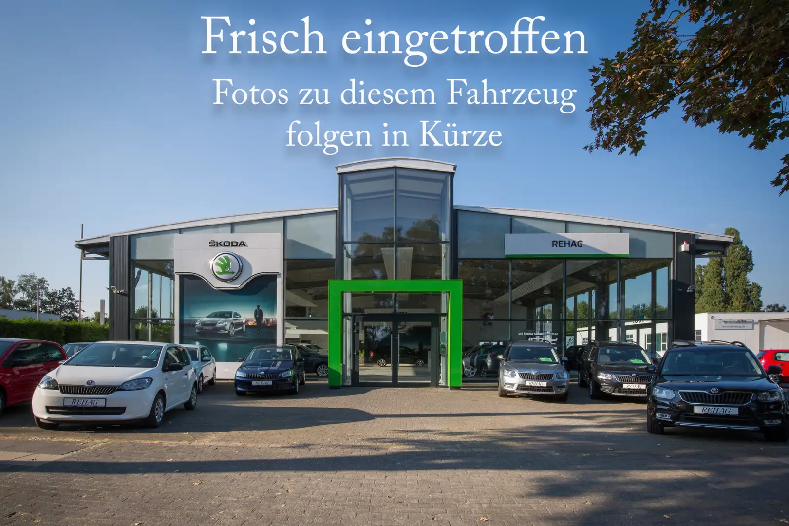 Skoda Enyaq Coupé 85 Sportline *AHK*MAXX*21 ZOLL*ALLWETTER* Grau - 1