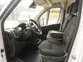 Fiat Ducato 40 L3H2 110 kW/h + 10-Zoll Navi Weiß - thumbnail 9