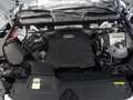Audi Q5 40 TDI quattro S-tronic *LED, ACC, RFK* Weiß - thumbnail 7