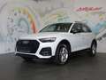 Audi Q5 40 TDI quattro S-tronic *LED, ACC, RFK* Weiß - thumbnail 13