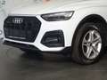 Audi Q5 40 TDI quattro S-tronic *LED, ACC, RFK* Weiß - thumbnail 11