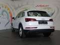 Audi Q5 40 TDI quattro S-tronic *LED, ACC, RFK* Weiß - thumbnail 14
