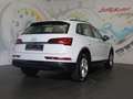 Audi Q5 40 TDI quattro S-tronic *LED, ACC, RFK* Weiß - thumbnail 12