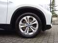 BMW X1 25 e Advantage xDrive Aut. PDC+KLIMA+DAB+NAVI+TEMP Weiß - thumbnail 15