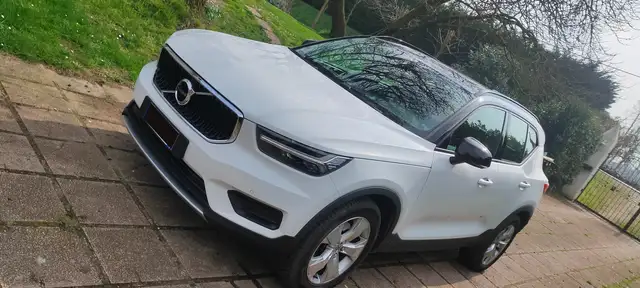 Volvo XC40 Volvo XC40 D4 AWD Tetto | Pelle | Harman Kardon