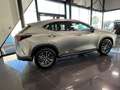 Lexus NX 350h 2.5 HYB EXECUTIVE Grau - thumbnail 4