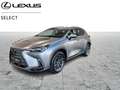 Lexus NX 350h 2.5 HYB EXECUTIVE Grau - thumbnail 1