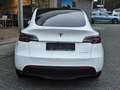 Tesla Model Y LR Dual AWD PANO+STDHZ+NAVI+LED+ACC+ Weiß - thumbnail 8