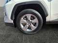 Toyota RAV 4 RAV4 2.5 Business Edition *LED*NAVI*SHZ*PDC* Blanc - thumbnail 15