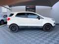 Ford EcoSport EcoSport 1.0 EcoBoost 125 Titanium S Weiß - thumbnail 15