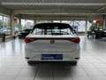 SEAT Leon 1.5 eTSI DSG Xcellence Virtual NAVI LED ACC Weiß - thumbnail 7