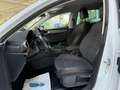 SEAT Leon 1.5 eTSI DSG Xcellence Virtual NAVI LED ACC Weiß - thumbnail 11