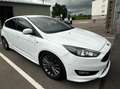Ford Focus 2.0 TDCi DPF Start-Stopp-System ST-Line - thumbnail 3