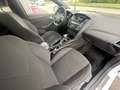 Ford Focus 2.0 TDCi DPF Start-Stopp-System ST-Line - thumbnail 9