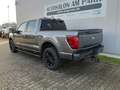 Ford F 150 Lariat Black 3.5V6 Hybrid *WINTER-SPECIAL* Grau - thumbnail 13