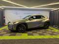 Lexus UX 250h Business City 2WD Beige - thumbnail 35