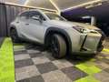 Lexus UX 250h Business City 2WD Beige - thumbnail 11