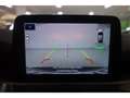 Ford Kuga Plug-In Hybrid 2.5 Duratec -PHEV Titanium X Gris - thumbnail 13