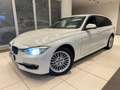 BMW 320 Serie 3 F31 2012 Touring 320d Touring Luxury - thumbnail 3