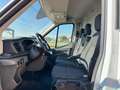 Ford Transit 2.0TDCi EcoBlue MHEV 130CV PM-TM HYBRIDO TAGLIAND Bianco - thumbnail 9