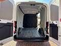 Ford Transit 2.0TDCi EcoBlue MHEV 130CV PM-TM HYBRIDO TAGLIAND Bianco - thumbnail 5
