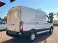 Ford Transit 2.0TDCi EcoBlue MHEV 130CV PM-TM HYBRIDO TAGLIAND Bianco - thumbnail 4