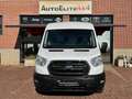 Ford Transit 2.0TDCi EcoBlue MHEV 130CV PM-TM HYBRIDO TAGLIAND Bianco - thumbnail 12