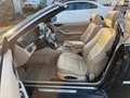 BMW 320 CI e46 Cabrio mit Hardtop Leder beige Automatik Blau - thumbnail 9