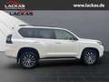 Toyota Land Cruiser TEC-Edition 2.8 D4-D S-DACH AHK WEBASTO Weiß - thumbnail 6
