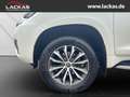 Toyota Land Cruiser TEC-Edition 2.8 D4-D S-DACH AHK WEBASTO Weiß - thumbnail 21