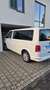 Volkswagen T6.1 Multivan Trendline Weiß - thumbnail 7