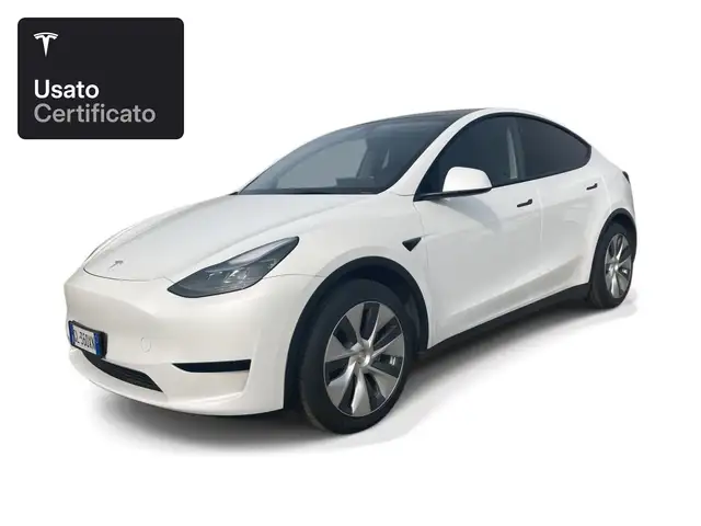 Tesla Model Y Rear-Wheel Drive