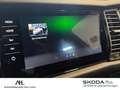 Skoda Kodiaq 2.0 TSI RS 4x4 DSG AHK Pano RFK Standhzg. Weiß - thumbnail 22