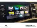 Skoda Kodiaq 2.0 TSI RS 4x4 DSG AHK Pano RFK Standhzg. Weiß - thumbnail 20
