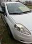 Fiat Grande Punto Grande Punto 1,2 Actual Actual Weiß - thumbnail 5