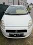 Fiat Grande Punto Grande Punto 1,2 Actual Actual Weiß - thumbnail 6