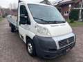 Fiat Ducato Pritsche 35 160 Power  L5*3,0L*AHK Blanc - thumbnail 1