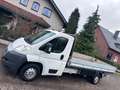 Fiat Ducato Pritsche 35 160 Power  L5*3,0L*AHK Blanc - thumbnail 18