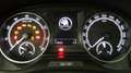 Skoda Fabia Combi 1.0 TSI 95pk Ambition / Navigatie / Cruise C Gris - thumbnail 20